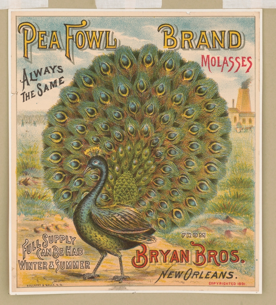 Pea Fowl brand molasses. Bryan