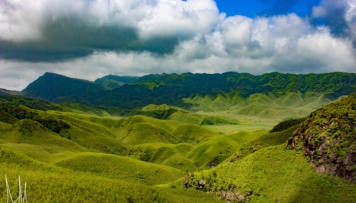 Underrated travel destination in India – dzukou valley