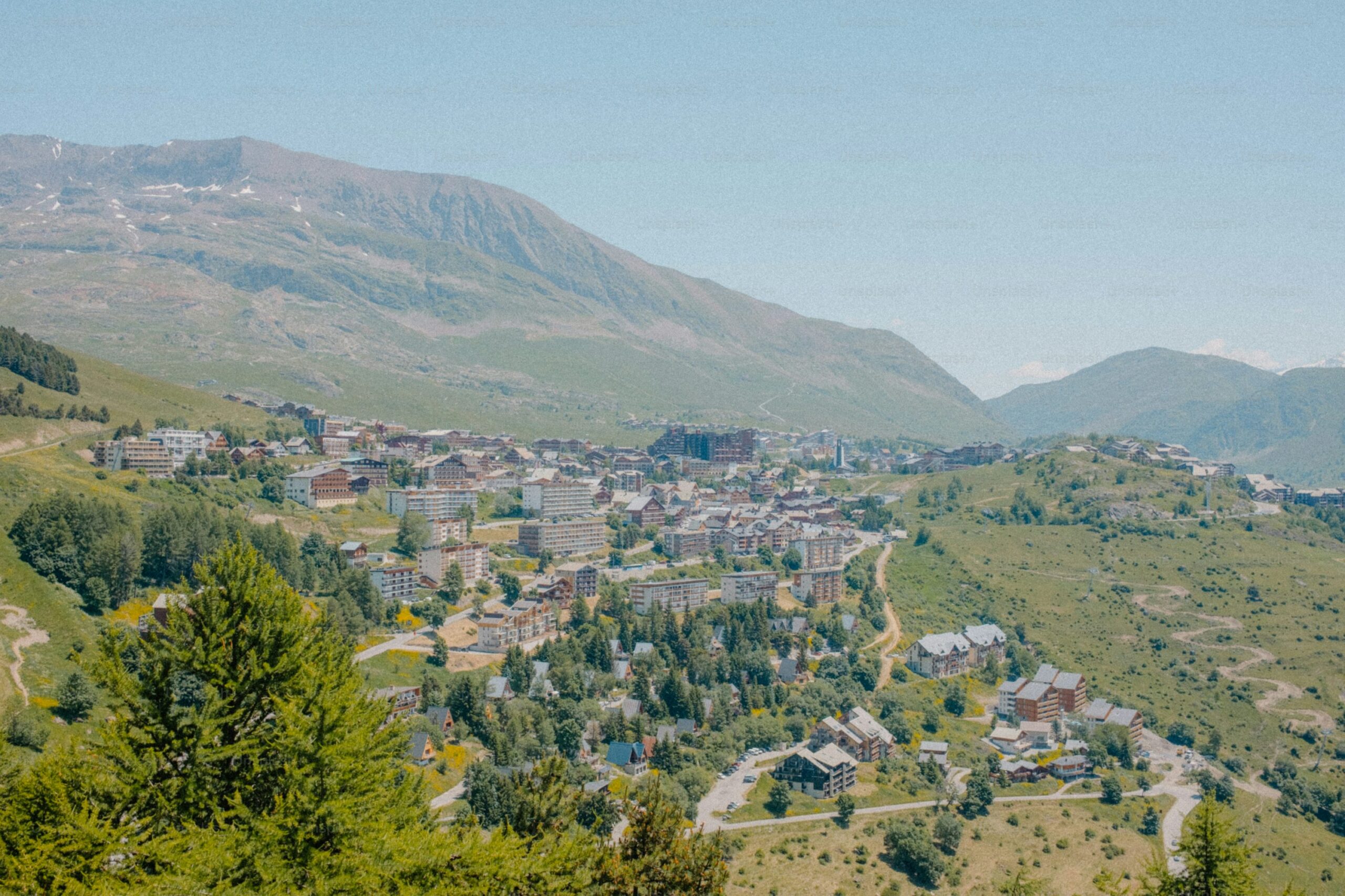 Underrated travel destination in India – Ziro Valley