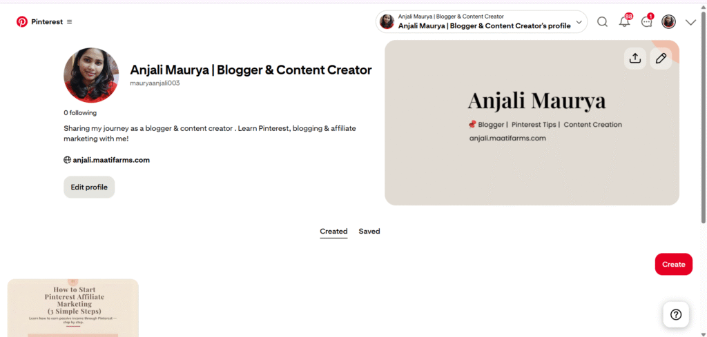 Pinterest business account with optimized bio and website link.