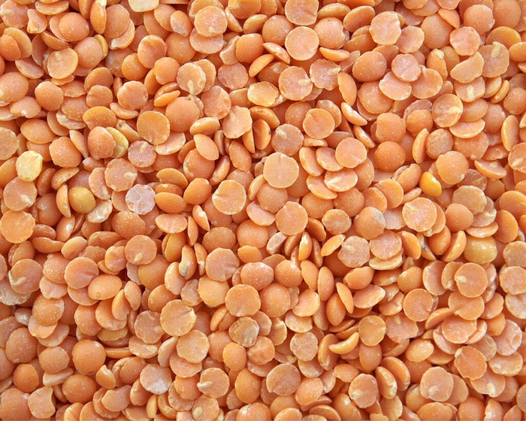 top export products from India-pulses