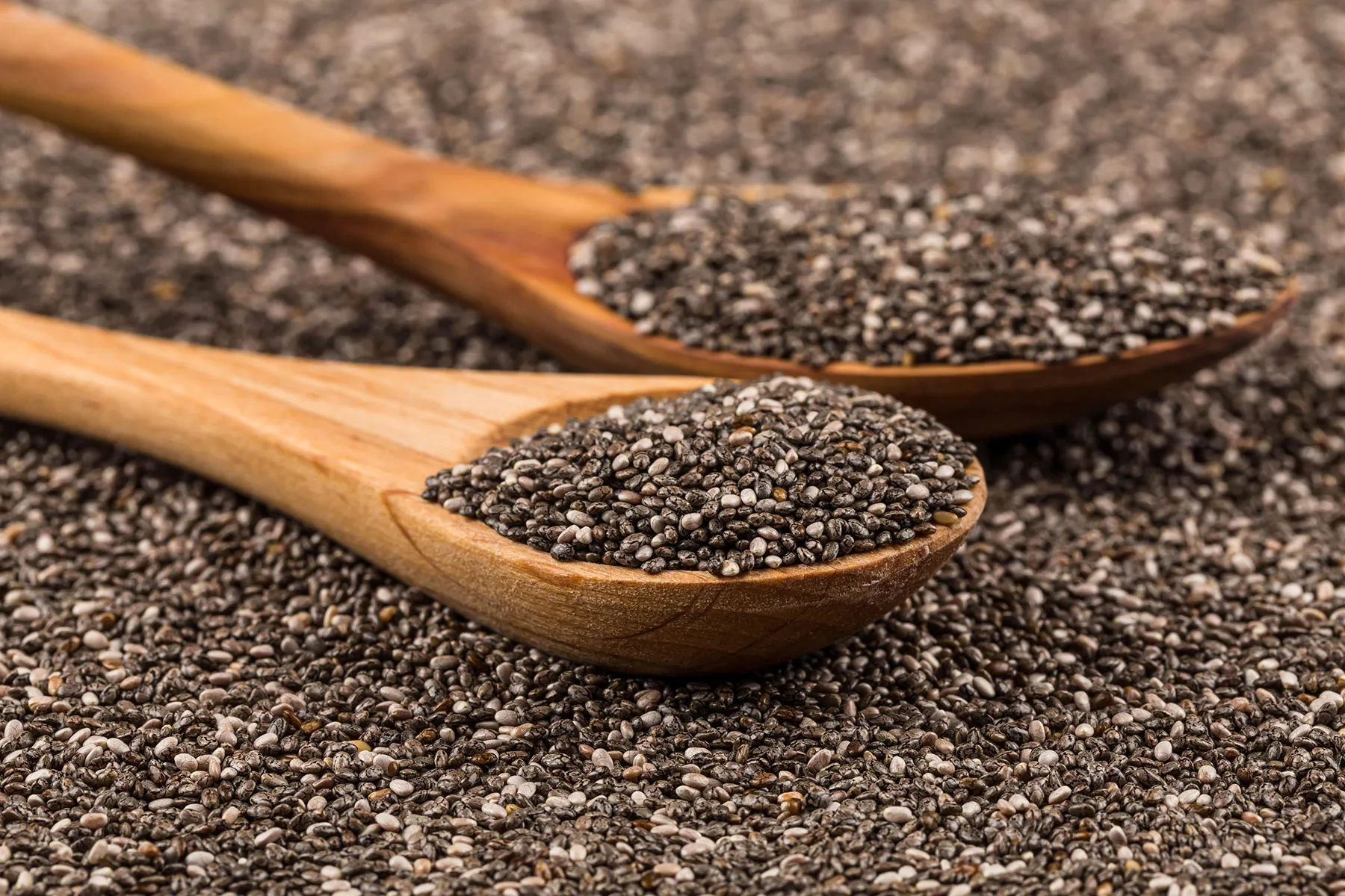 Chia Seeds Export from India